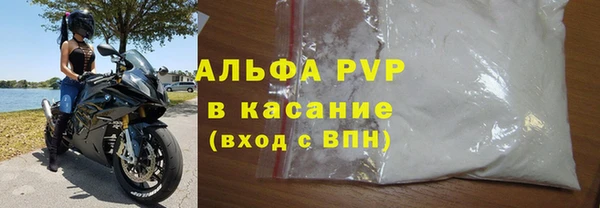 прущие грибы Кодинск