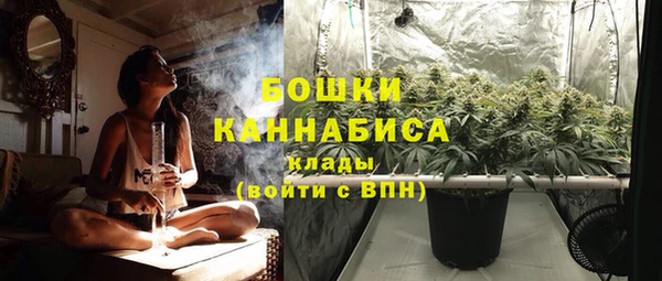 прущие грибы Кодинск