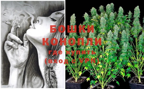 соль курить ск Козловка