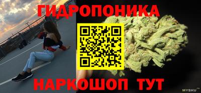 тгк Берёзовский