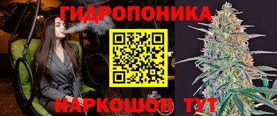 тгк Берёзовский
