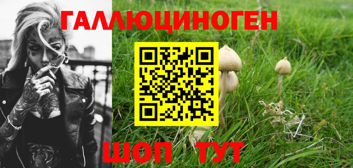 Миасс  Галлюциногенные грибы прущие грибы  купить наркотик  Псилоцибиновые грибы Magic Shrooms  Вход с VPN 