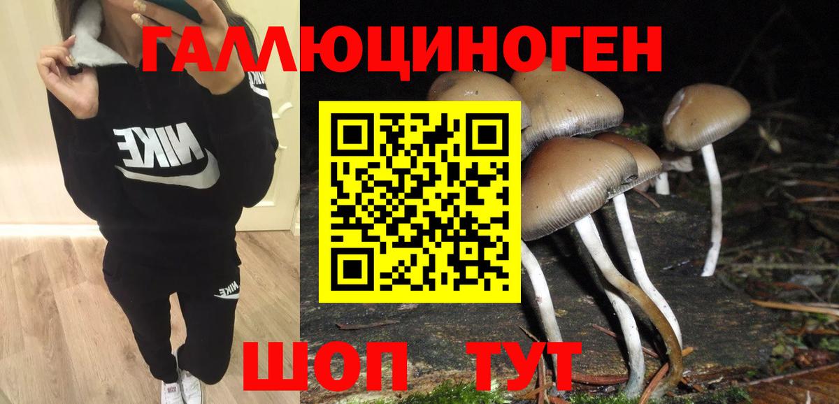 Псилоцибиновые грибы MAGIC MUSHROOMS Миасс